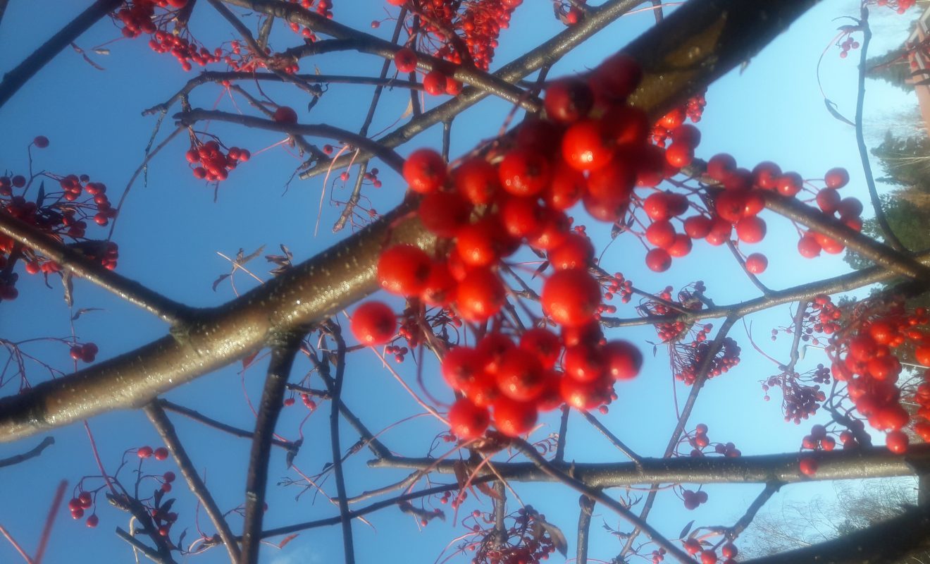 20191023_105553