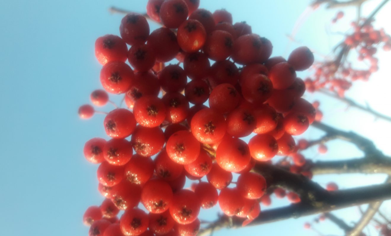 20191023_105605